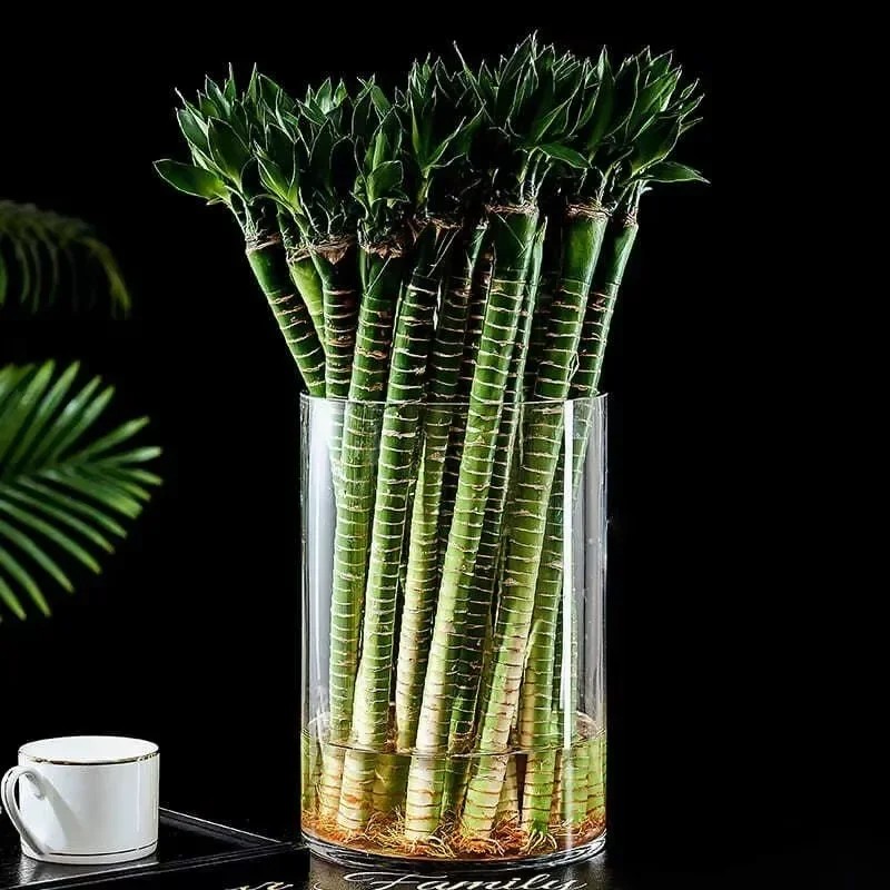 Home Decor Youtube - 2/4pc acryl cilindervaas transparante rechte buis
