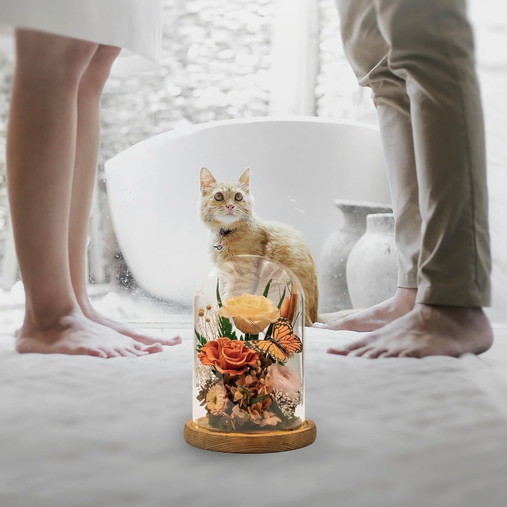 Elegante Ge conserveerde Bloem - Home Decor Tulip recensie en prijs