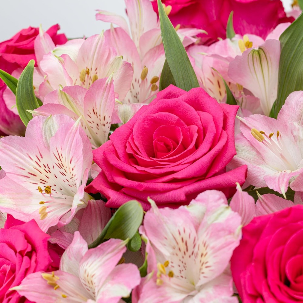 Elegante Rozen- en Alstroemeri - Home Decor Tulip recensie en prijs